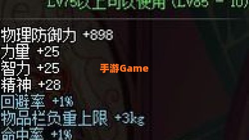 黑暗武士穿什么防具
