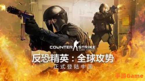 cs官网