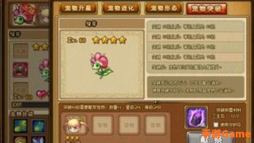 弹弹堂宠物精华液