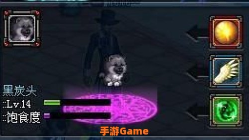 dnf宠物黑炭头